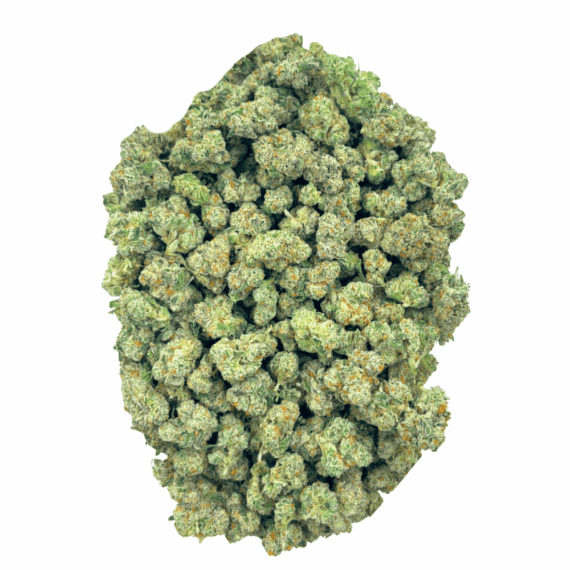Black Cherry - Popcorn - Image 4
