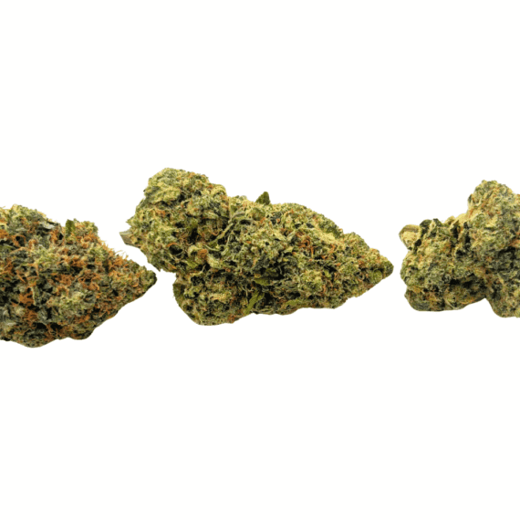 Amnesia Haze - Craft Cannabis - Image 3