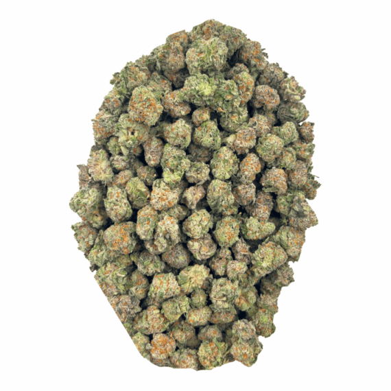 King Tut - Popcorn (1/4 LB - 2 LB) - Image 2