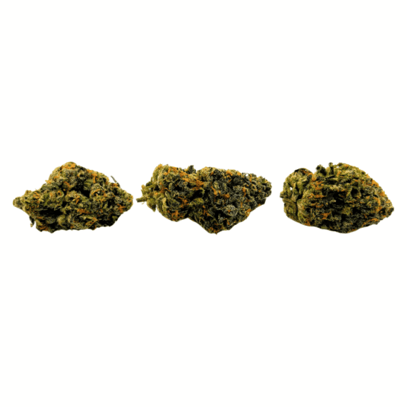 Sunset Sherbert - AAAA - Image 3