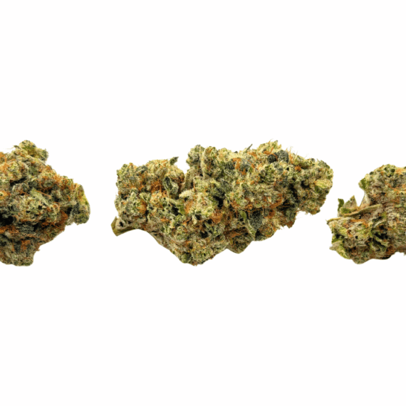 Blueberry Pie - Craft Cannabis (1/4 LB - 1 LB) - Image 2