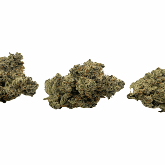 Blue Lobster (Crop #4) - Craft Cannabis - Image 3