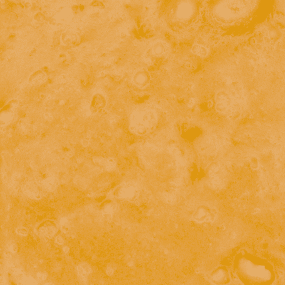Pine Tar - Live Resin (Indica) - Image 5