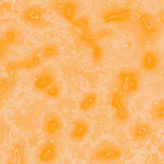 Silver Kush - Live Resin (Sativa) - Image 5