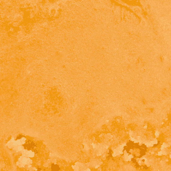 Golden Lemon - Live Resin (Indica) (1/4 LB - 1 LB) - Image 5