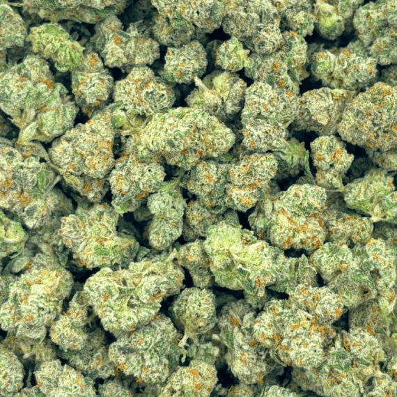 Black Cherry - Popcorn - Image 5