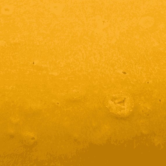 Critical Sensistar - Budder - Image 5