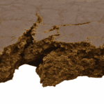 Animal Face - Hash - Image 5