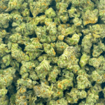 LA Runtz - Popcorn (1/4 LB - 2 LB) - Image 4