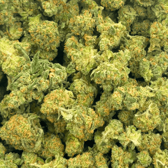 Alien Gorilla (Crop #3) - Popcorn - Image 4