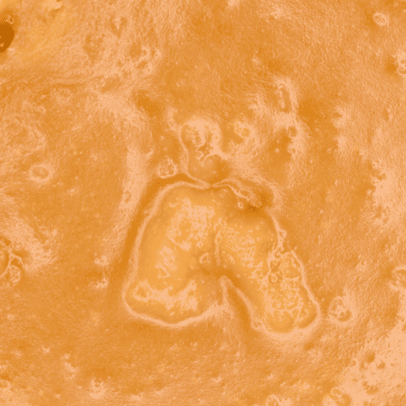 Orange Tangie - Live Resin (Hybrid) - Image 5