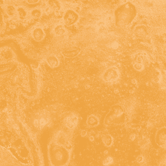 Tangerine Dream - Live Resin (Hybrid) (1/4 LB - 1 LB) - Image 5
