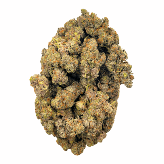 White Truffle - AAAA (1/4 LB - 2 LB) - Image 4