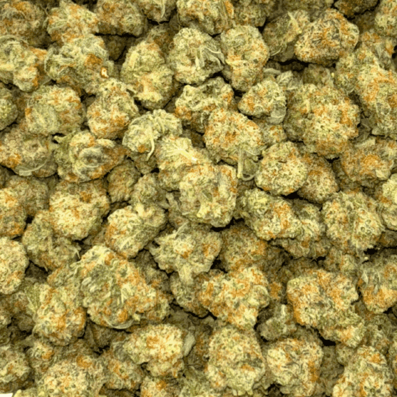 Strawberry MAC - Popcorn - Image 4