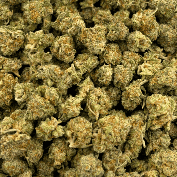 Fruity Pebbles OG- Popcorn (1/4 LB - 2 LB) - Image 4
