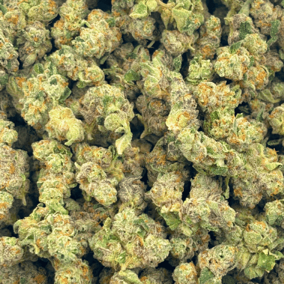 Frumpz (Crop #3) - Popcorn (1/4 LB - 2 LB) - Image 4