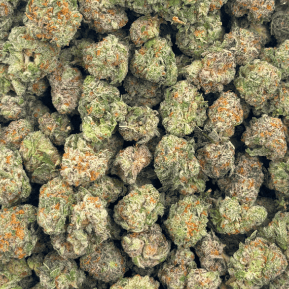 King Tut - Popcorn (1/4 LB - 2 LB) - Image 4