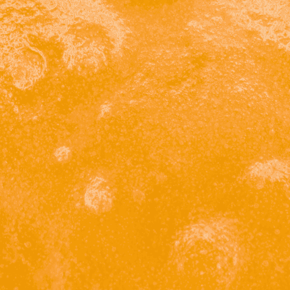 Gas Face - Live Resin (Indica) - Image 5