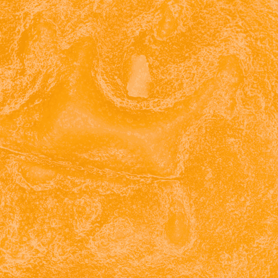 Grape Kush - Live Resin (Indica) - Image 5