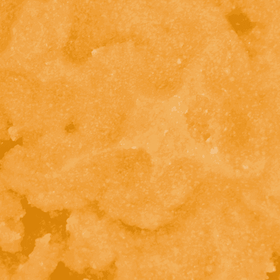 Gummy Buns - Live Resin (Indica) (1/4 LB - 1 LB) - Image 2