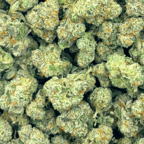 Black Cherry - Popcorn - Image 2