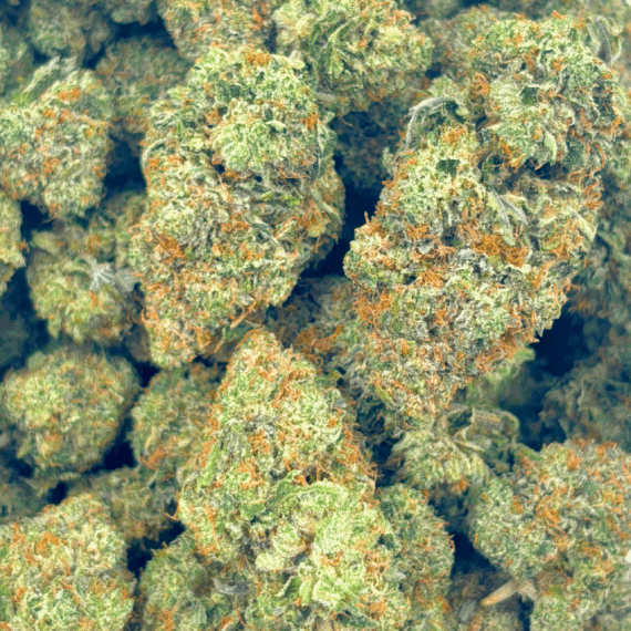 Rockstar Pink - Craft Cannabis - Image 5