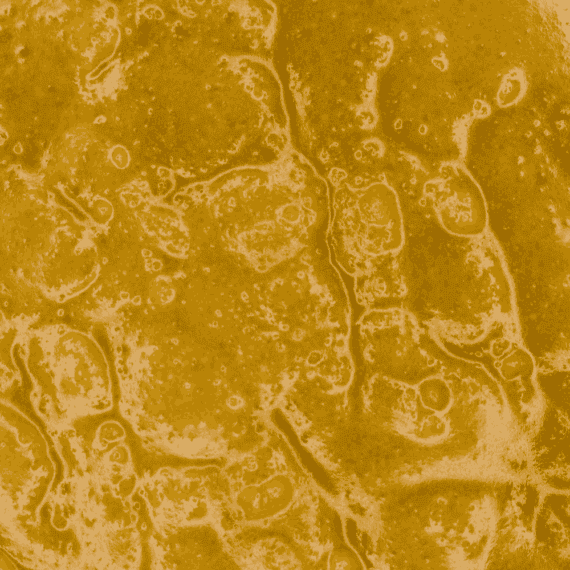 Sensiskunk - Live Resin (Indica) - Image 2