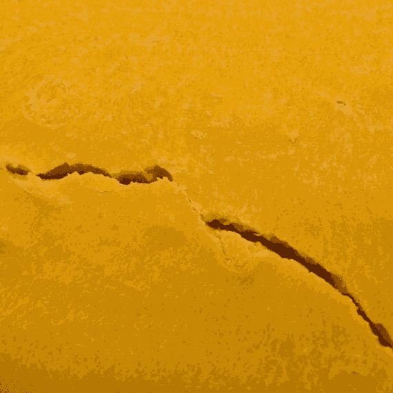 Critical Sensistar - Budder - Image 2