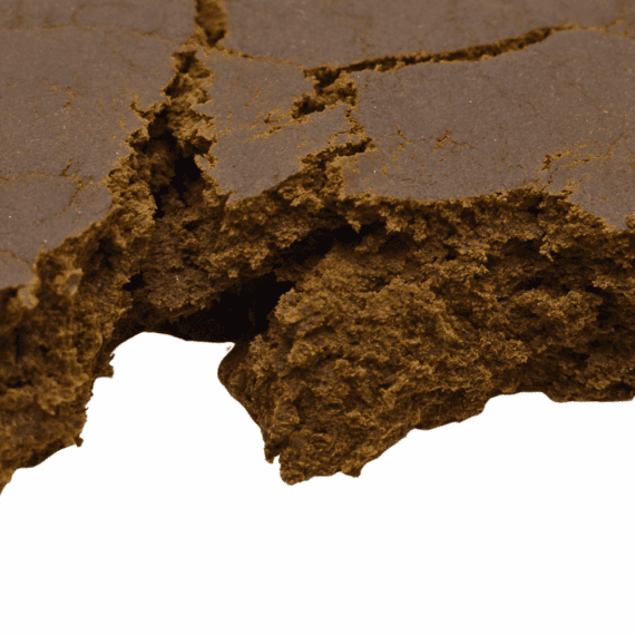 Animal Face - Hash - Image 2