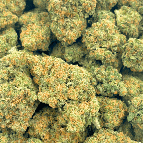 Alien Gorilla (Crop #3) - AAAA (1/4 LB - 2 LB) - Image 5