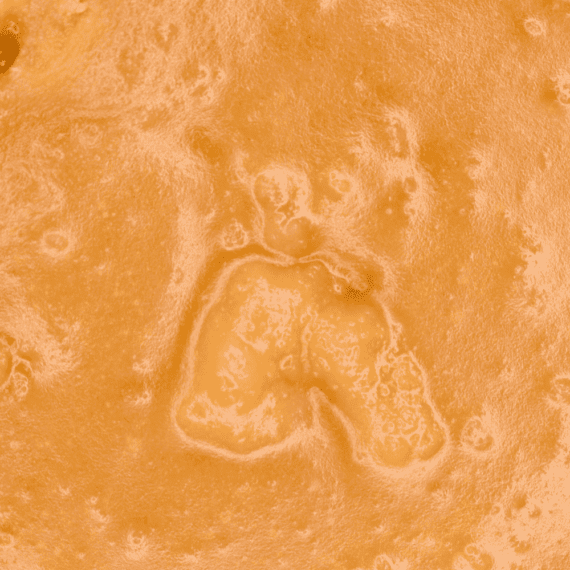 Orange Tangie - Live Resin (Hybrid) - Image 2
