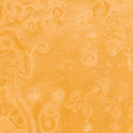 Tangerine Dream - Live Resin (Hybrid) (1/4 LB - 1 LB) - Image 2
