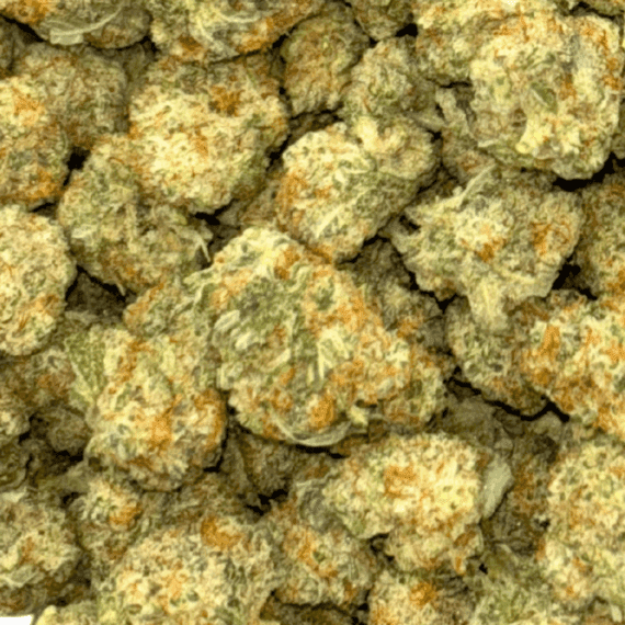 Strawberry MAC - Popcorn - Image 5