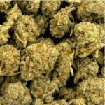 Fruity Pebbles OG- Popcorn (1/4 LB - 2 LB) - Image 5