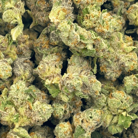 Frumpz (Crop #3) - Popcorn - Image 5