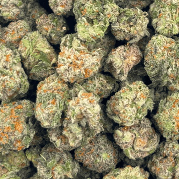 King Tut - Popcorn (1/4 LB - 2 LB) - Image 3