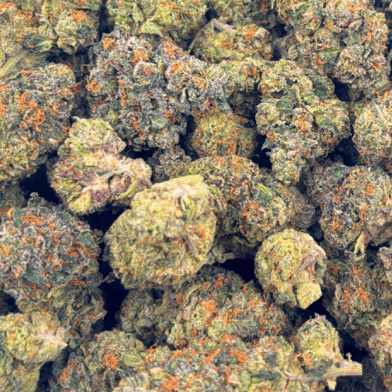 Sunset Sherbert - AAAA - Image 5