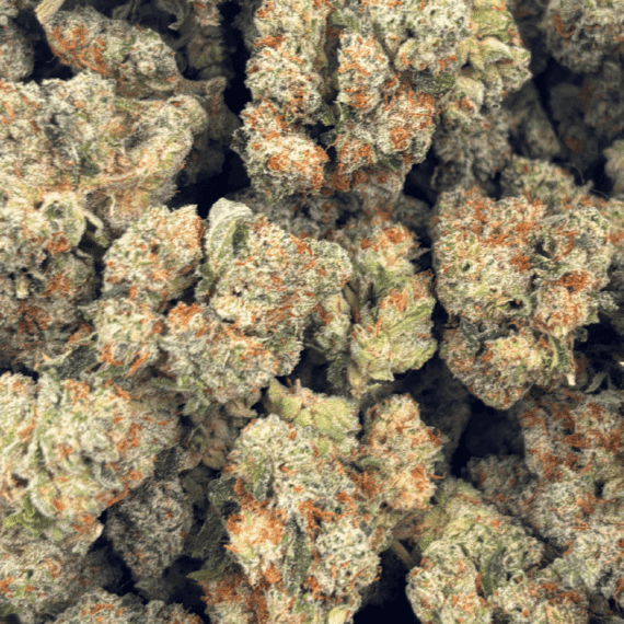 Donkey Budder (Crop #4) - Craft Cannabis (1/4 LB - 1 LB) - Image 5
