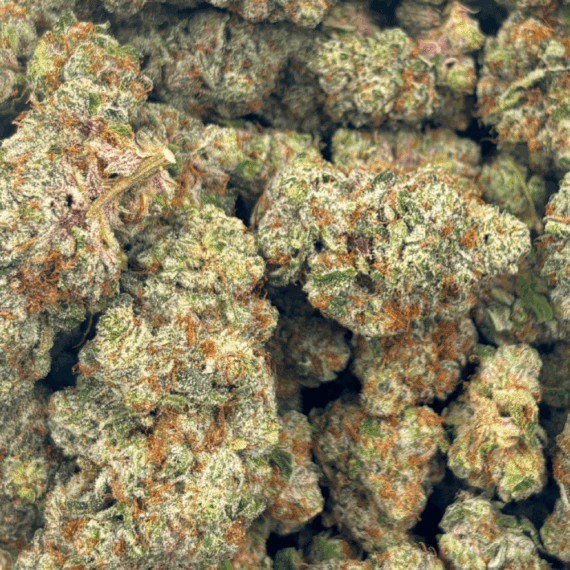 Blueberry Pie - Craft Cannabis (1/4 LB - 1 LB) - Image 5