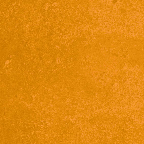Honey Tart - Budder (1/4LB- 1LB) - Image 2