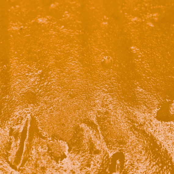 Orange Cookies - Budder - Image 2