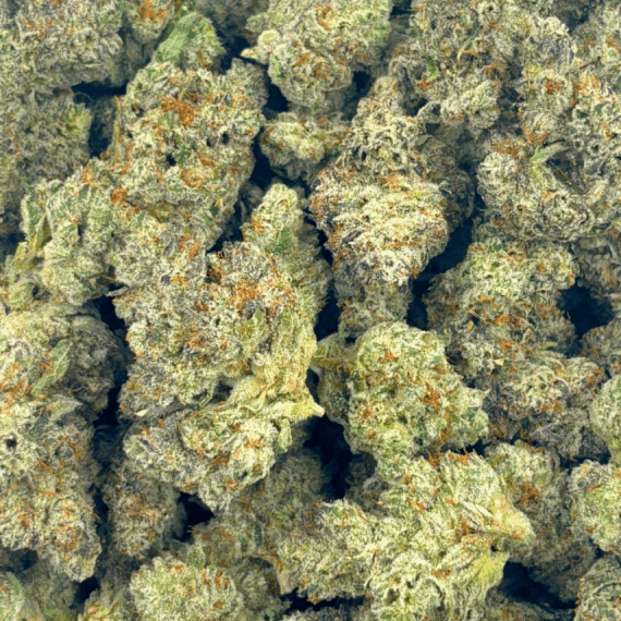 Blue Lobster (Crop #4) - Craft Cannabis - Image 5