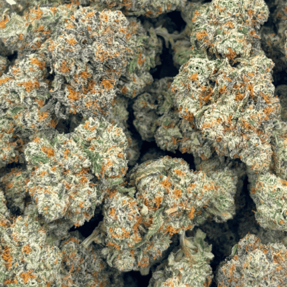Black Cherry OG - AAAA (1/4 LB - 2 LB) - Image 5