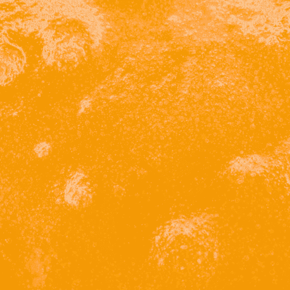 Gas Face - Live Resin (Indica) - Image 2