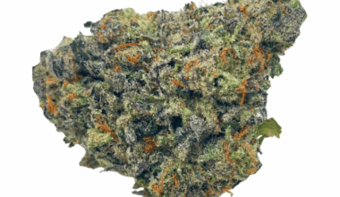 LA Runtz - Craft Cannabis