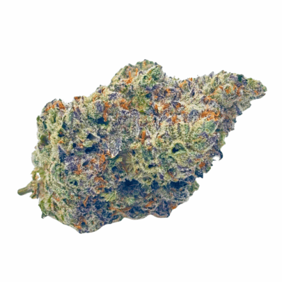 Blue Lobster (Crop #5) - Craft Cannabis