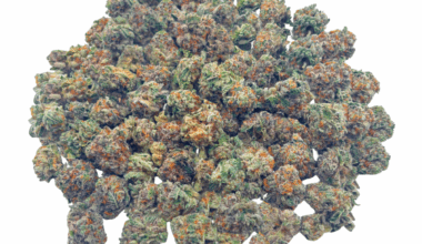 King Juice - Popcorn