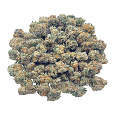 King Tut (Crop #2) - Popcorn