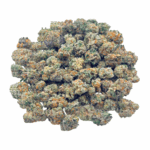 King Tut (Crop #2) - Popcorn (1/4 LB - 2 LB)