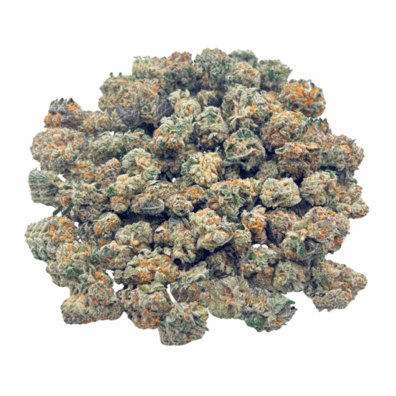 King Tut (Crop #2) - Popcorn (1/4 LB - 2 LB) - Image 1